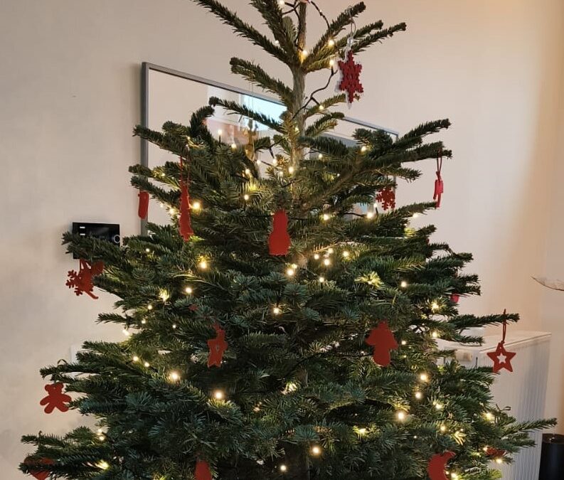 Fijne Feestdagen !
