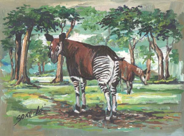 Twee okapi's staan te grazen onder de bomen. Geschilderd in groene en bruine tinten.