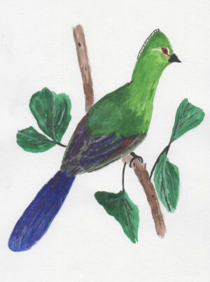 Groen met blauwe vogel op een takje met enkele blaadjes eraan. Groene, blauwe en bruine kleuren op een witte achtergrond.