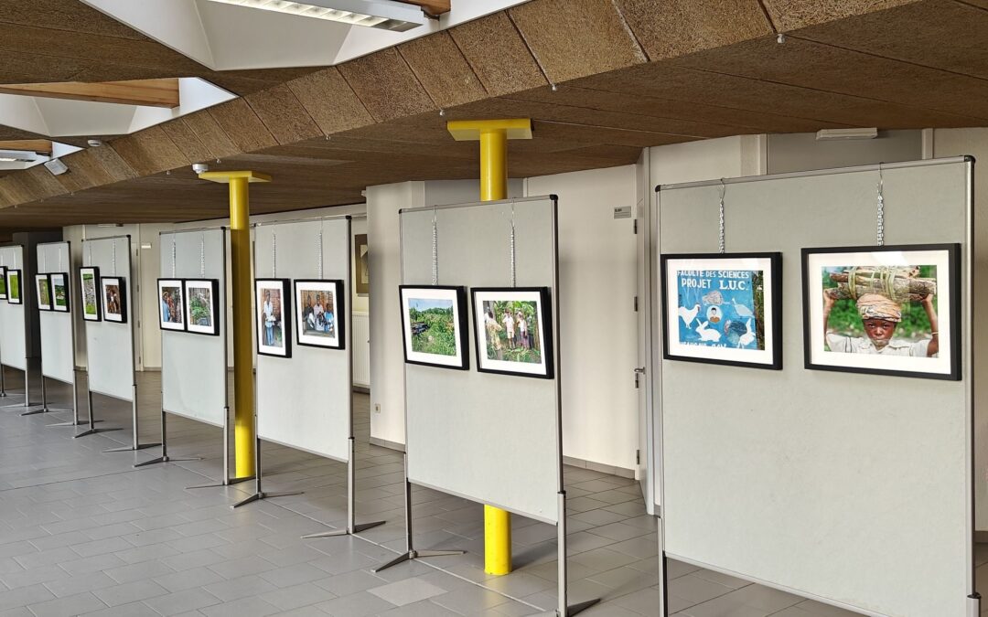 Vernissage Tentoonstelling in kotrijk