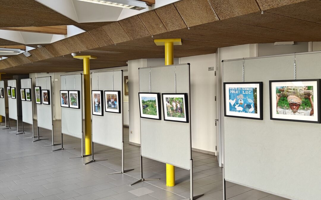 tentoonstelling in genk!